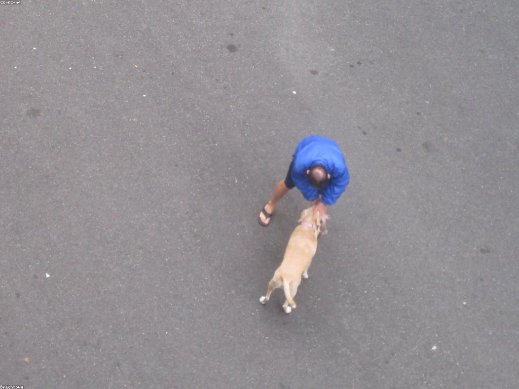 ការសម្រេចចិត្តសម្រាប់ហ្គេមថ្មីៗ៖ ពិភពនៃការប្រកួតប្រជែងនិងភាពថ្មី